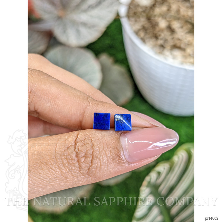 1.68 Ct.Tw. Lapis Pair from Afghanistan