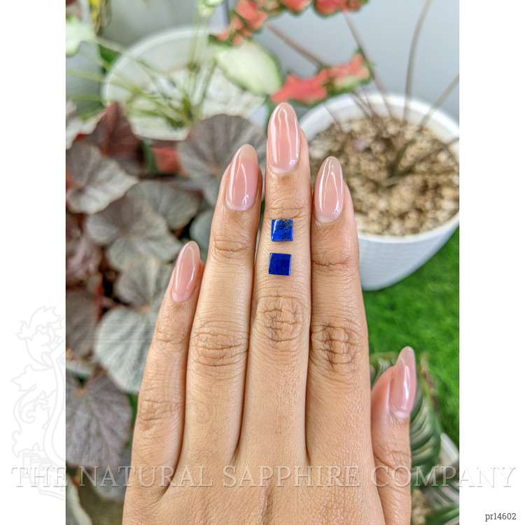 1.68 Ct.Tw. Lapis Pair from Afghanistan