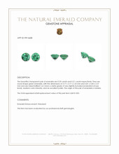 0.41&nbsp;Ct.Tw.Total Carat Weight Emerald Pair from Zambia Appraisal