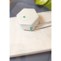 0.41 Ct.Tw.Total Carat Weight Emerald Pair from Zambia Life Style