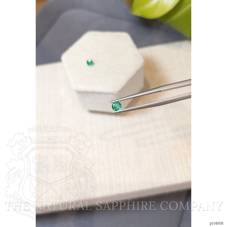 0.41 Ct.Tw. Emerald Pair from Zambia