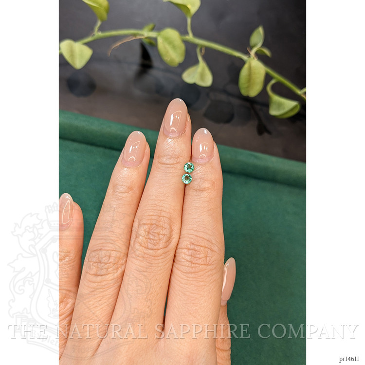 0.37 Ct.Tw. Emerald Pair from Zambia