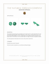0.39&nbsp;Ct.Tw.Total Carat Weight Emerald Pair from Zambia Appraisal