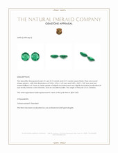 0.32&nbsp;Ct.Tw.Total Carat Weight Emerald Pair from Zambia Appraisal