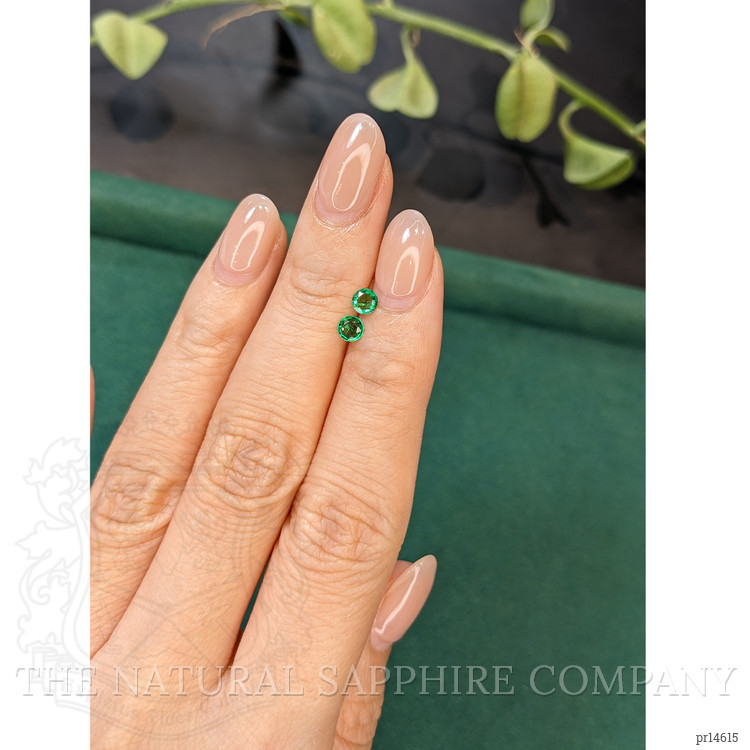 0.32 Ct.Tw. Emerald Pair from Zambia