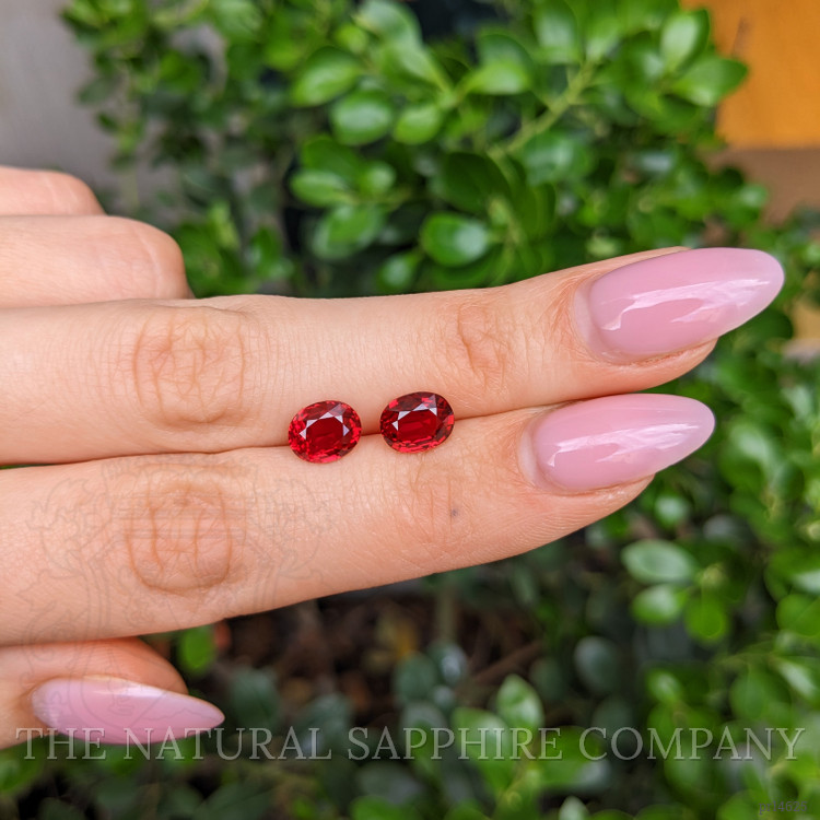 4.06 Ct.Tw. Ruby Pair from Mozambique