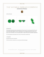 0.59&nbsp;Ct.Tw.Total Carat Weight Emerald Pair from Afghanistan Appraisal