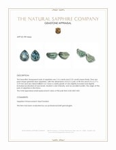 4.48&nbsp;Ct.Tw.Total Carat Weight Greenish Blue Sapphire Pair from Montana Appraisal