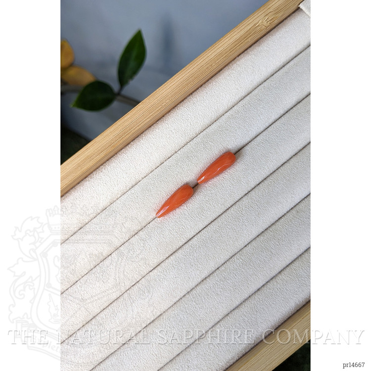 8.36 Ct.Tw. Salmon (Orange) Coral Pair from Italy