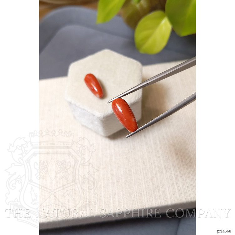 13.18 Ct.Tw. Salmon (Orangish Red) Coral Pair from Italy