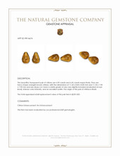 9.35&nbsp;Ct.Tw.Total Carat Weight Orangish Brown Citrine Pair from Brazil Appraisal