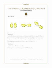 54.97&nbsp;Ct.Tw.Total Carat Weight Yellow Quartz Pair from Brazil Appraisal