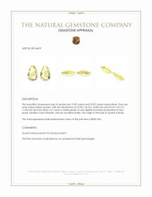 76.91 Ct.Tw.Total Carat Weight Yellow Quartz Pair from Brazil Appraisal