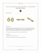 29.97&nbsp;Ct.Tw.Total Carat Weight Yellow Quartz Pair from Brazil Appraisal
