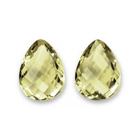 29.97&nbsp;Ct.Tw.Total Carat Weight Yellow Quartz Pair from Brazil Video