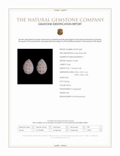 25.00&nbsp;Ct.Tw.Total Carat Weight Yellow Coral Pair from Italy Scan Report
