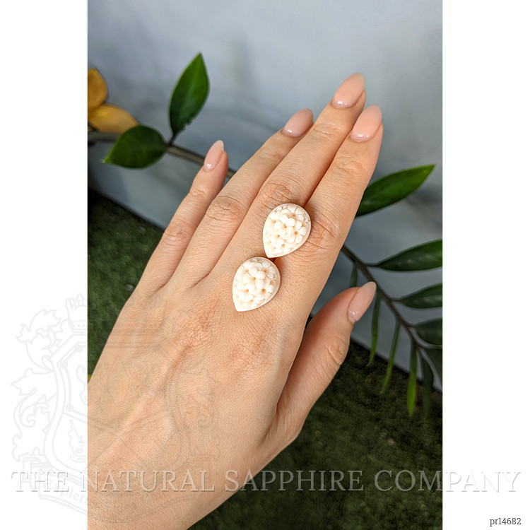 25.00 Ct.Tw. Yellow Coral Pair from Italy