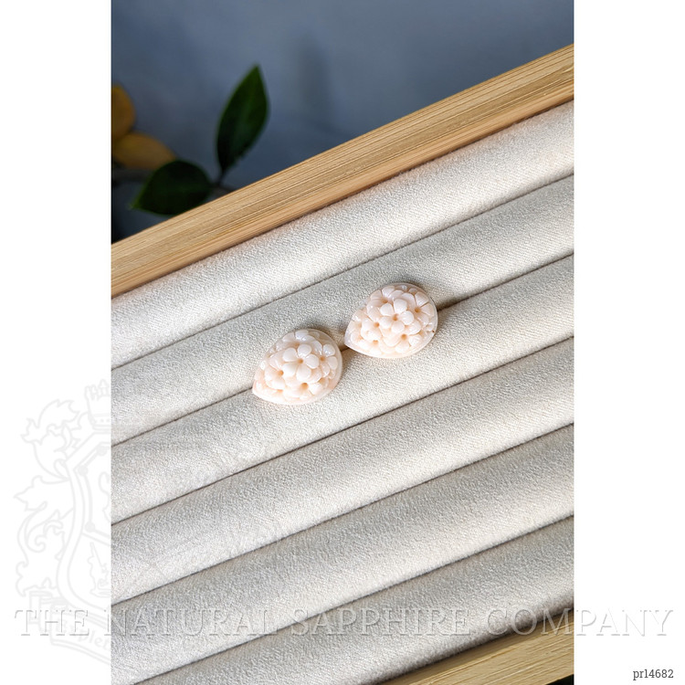 25.00 Ct.Tw. Yellow Coral Pair from Italy