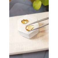 12.05 Ct.Tw.Total Carat Weight Yellow Citrine Pair from Brazil Life Style