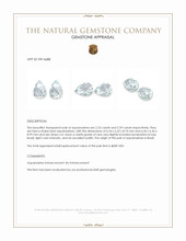 4.64 Ct.Tw.Total Carat Weight Blue Aquamarine Pair from Brazil Appraisal