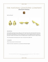 20.72 Ct.Tw.Total Carat Weight Yellow Citrine Pair from Brazil Appraisal