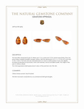 25.52 Ct.Tw.Total Carat Weight Madeira (Reddish Orange) Citrine Pair from Brazil Appraisal
