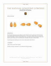 19.92 Ct.Tw.Total Carat Weight Golden Citrine Pair from Brazil Appraisal