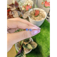0.97&nbsp;Ct.Tw.Total Carat Weight Blue Sapphire Pair from Ceylon (Sri Lanka) Life Style