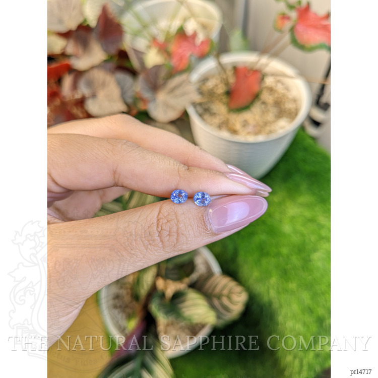 0.97 Ct.Tw. Blue Sapphire Pair from Ceylon (Sri Lanka)