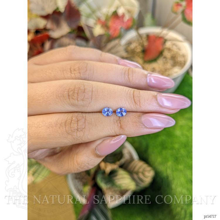 0.97 Ct.Tw. Blue Sapphire Pair from Ceylon (Sri Lanka)