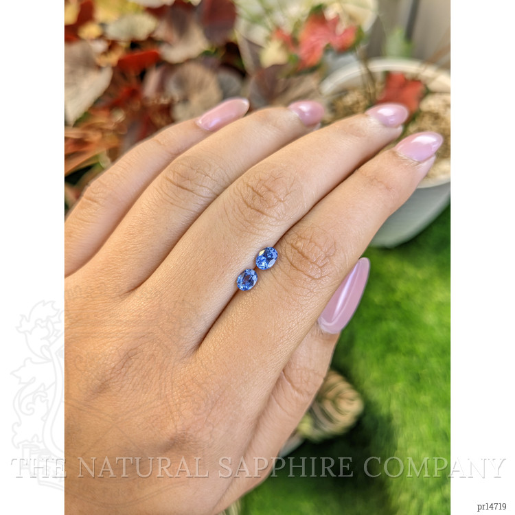0.82 Ct.Tw. Blue Sapphire Pair from Ceylon (Sri Lanka)