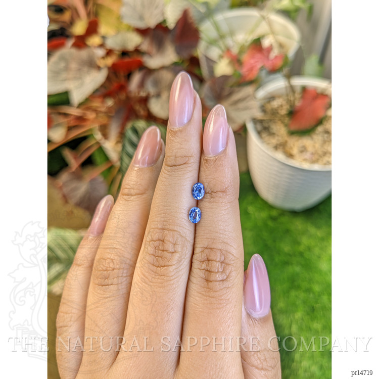 0.82 Ct.Tw. Blue Sapphire Pair from Ceylon (Sri Lanka)