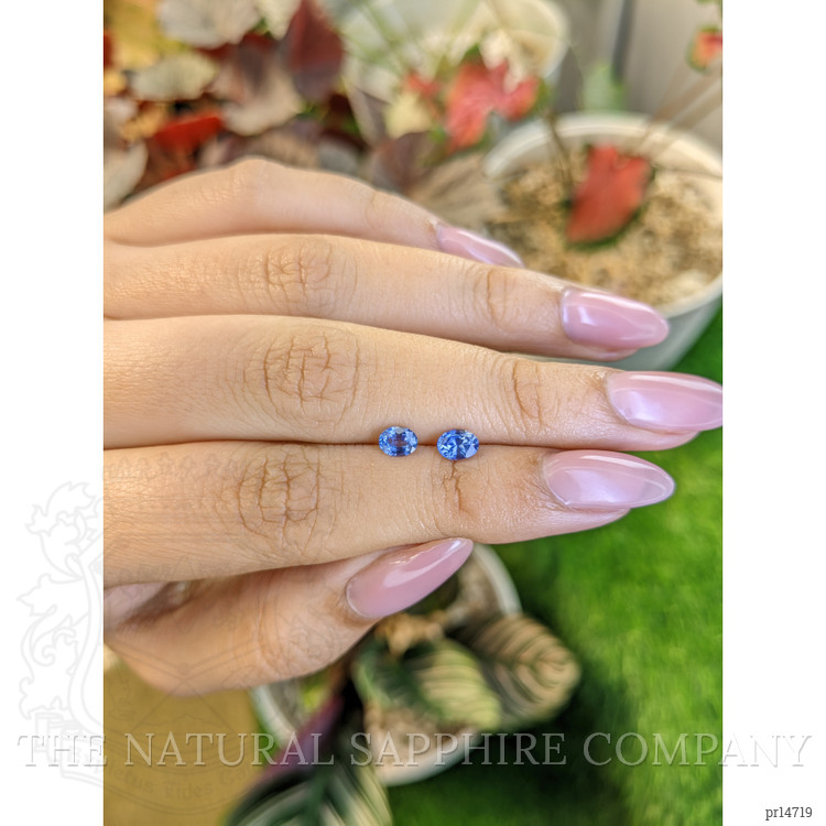 0.82 Ct.Tw. Blue Sapphire Pair from Ceylon (Sri Lanka)