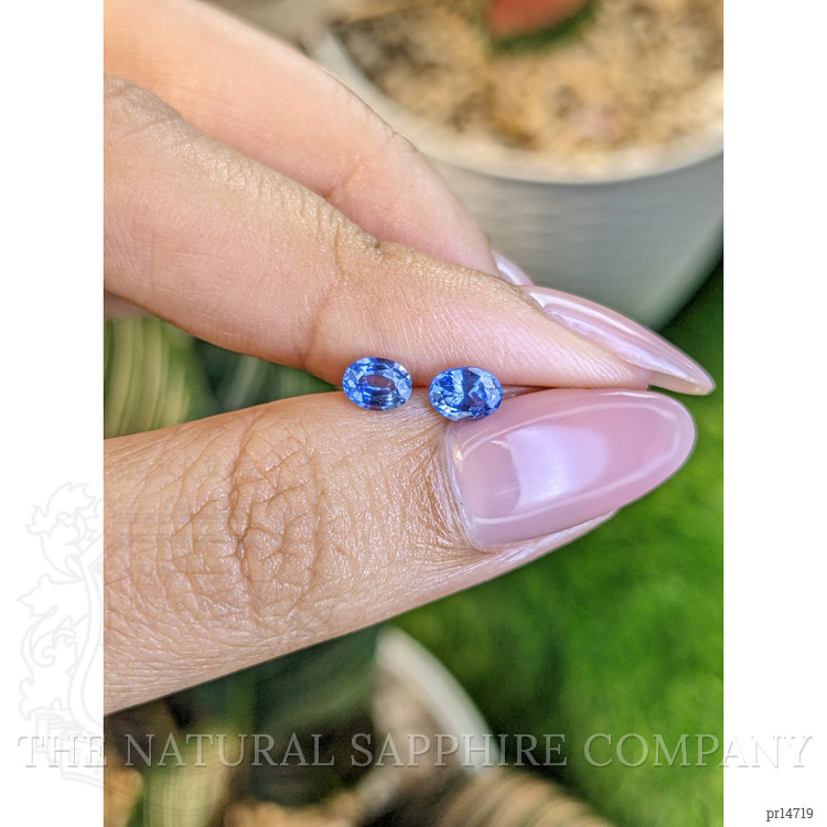 0.82 Ct.Tw. Blue Sapphire Pair from Ceylon (Sri Lanka)