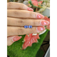 2.08&nbsp;Ct.Tw.Total Carat Weight Blue Sapphire Pair from Ceylon (Sri Lanka) Life Style