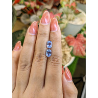 3.55&nbsp;Ct.Tw.Total Carat Weight Blue Sapphire Pair from Ceylon (Sri Lanka) Life Style