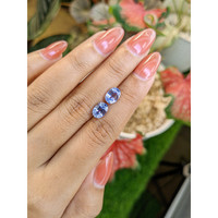 3.55&nbsp;Ct.Tw.Total Carat Weight Blue Sapphire Pair from Ceylon (Sri Lanka) Life Style