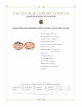 Jewelry Scan Report
