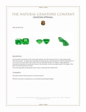 1.61 Ct.Tw.Total Carat Weight Tsavorite Garnet Pair from Kenya Appraisal