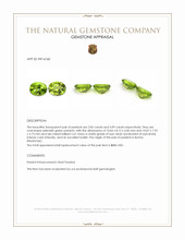 5.91&nbsp;Ct.Tw.Total Carat Weight Yellowish Green Peridot Pair from Burma (Myanmar) Appraisal