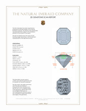 9.86 Ct.Tw.Total Carat Weight Emerald Pair from Colombia 3 D Scan Report