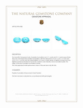 0.22&nbsp;Ct.Tw.Total Carat Weight Blue Paraiba Tourmaline Pair from Brazil Appraisal