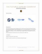 1.22 Ct.Tw.Total Carat Weight Blue Sapphire Pair from Ceylon (Sri Lanka) Appraisal