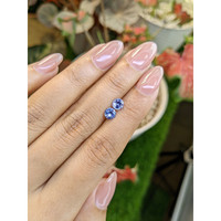 1.22&nbsp;Ct.Tw.Total Carat Weight Blue Sapphire Pair from Ceylon (Sri Lanka) Life Style