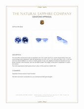1.20 Ct.Tw.Total Carat Weight Blue Sapphire Pair from Ceylon (Sri Lanka) Appraisal