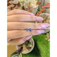 1.27&nbsp;Ct.Tw.Total Carat Weight Blue Sapphire Pair from Ceylon (Sri Lanka) Life Style