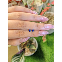 0.61&nbsp;Ct.Tw.Total Carat Weight Blue Sapphire Pair from Ceylon (Sri Lanka) Life Style