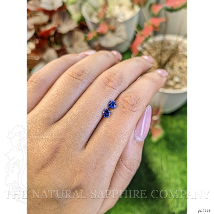 0.63 Ct.Tw. Blue Sapphire Pair from Ceylon (Sri Lanka)