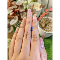 0.63&nbsp;Ct.Tw.Total Carat Weight Blue Sapphire Pair from Ceylon (Sri Lanka) Life Style