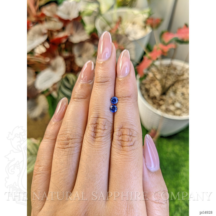 0.63 Ct.Tw. Blue Sapphire Pair from Ceylon (Sri Lanka)